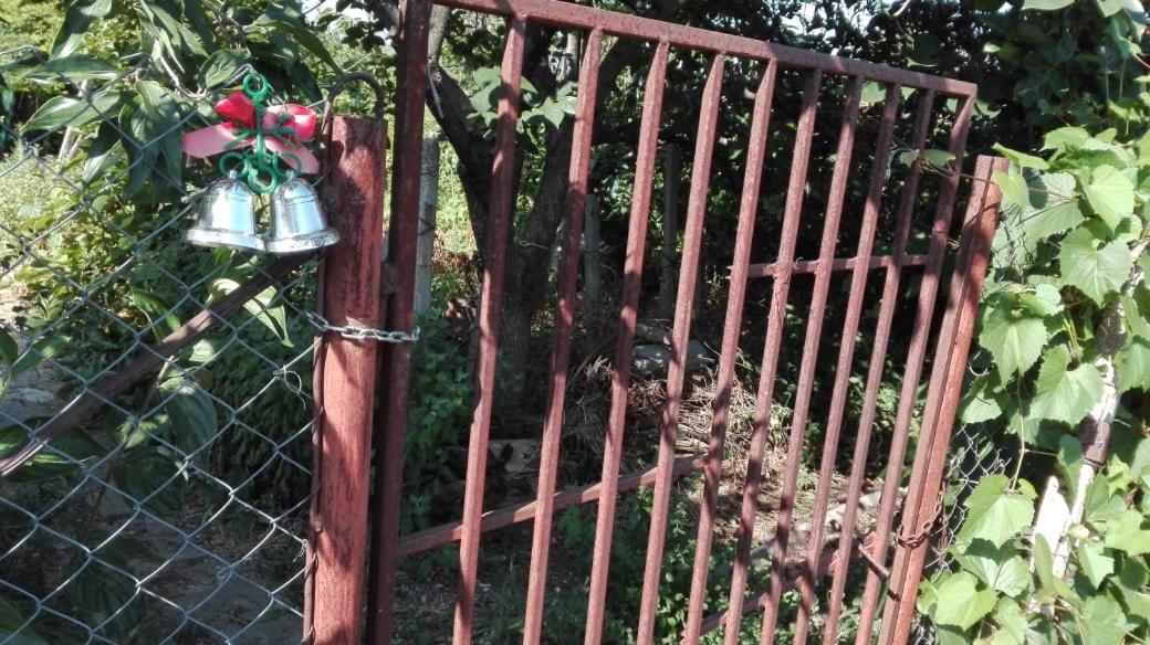 вилна зона Златни пясъци, спирка Ален мак Варна Екстер'єр фото