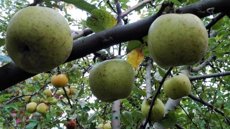 вилна зона Златни пясъци, спирка Ален мак Варна Екстер'єр фото